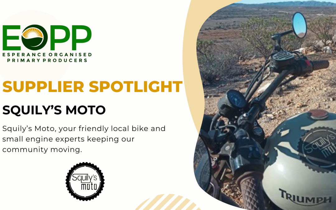 Supplier Spotlight: Squily’s Moto