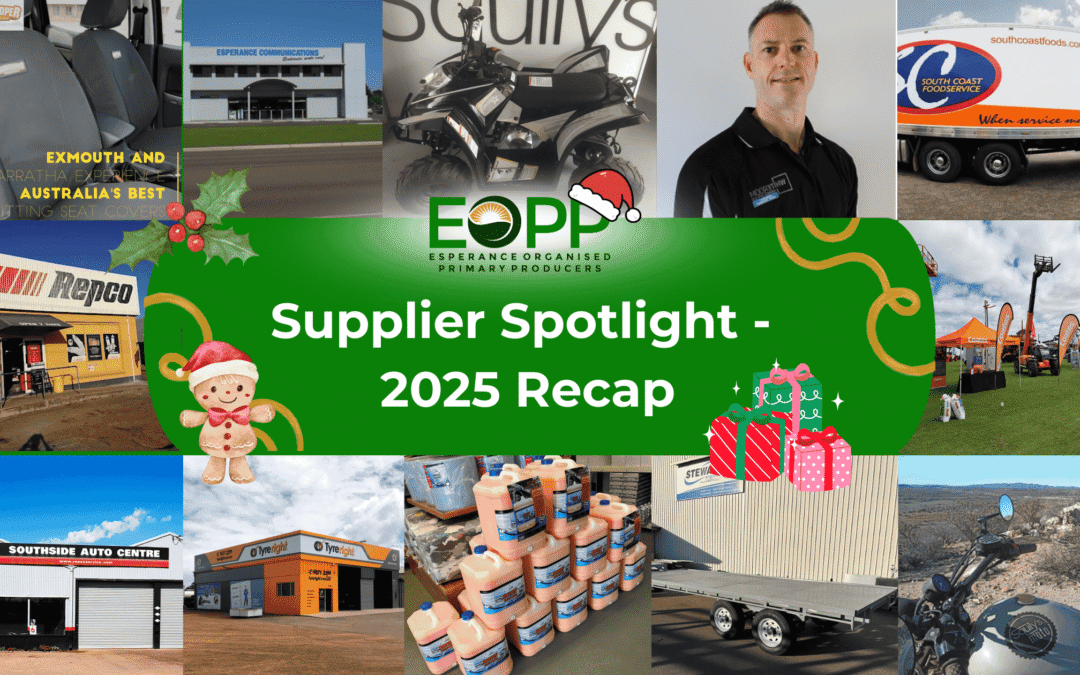 Supplier Spotlight: 2025 Recap